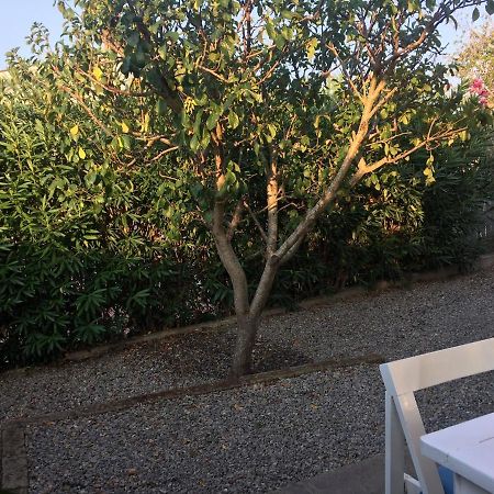 Apt. Calanchiole By Solturelba Capoliveri  Dış mekan fotoğraf